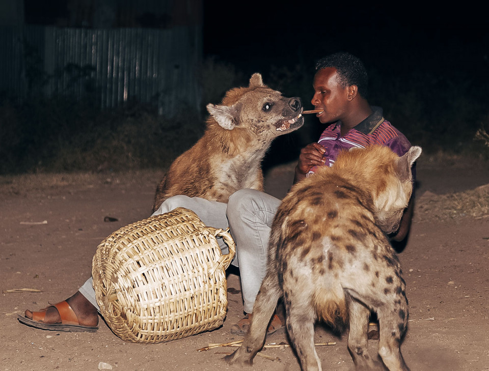 Harar/Eastern Ethiopia 3 Days