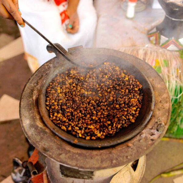 Specialty Coffee Cupping & Roasting Masterclass in Addis Ababa