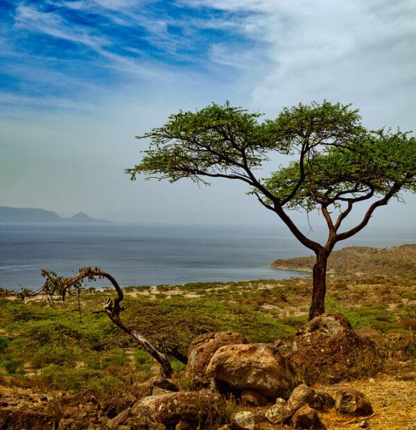 Rift Valley Lakes & Hawassa