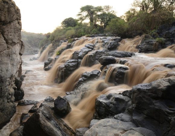 Harar Walled City, Awash National Park & Great Rift Valley 5 Days
