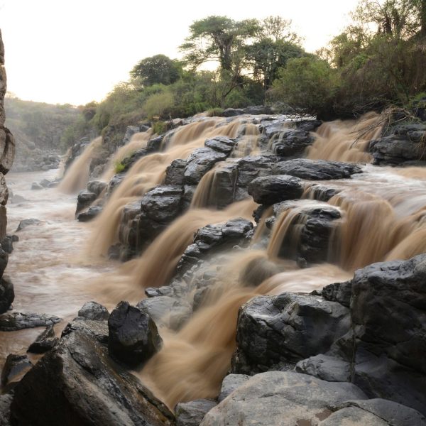 Harar Walled City, Awash National Park & Great Rift Valley 5 Days