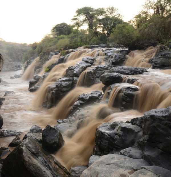 Awash National Park