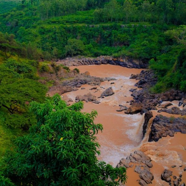 The Awash River flowing through a green gorge