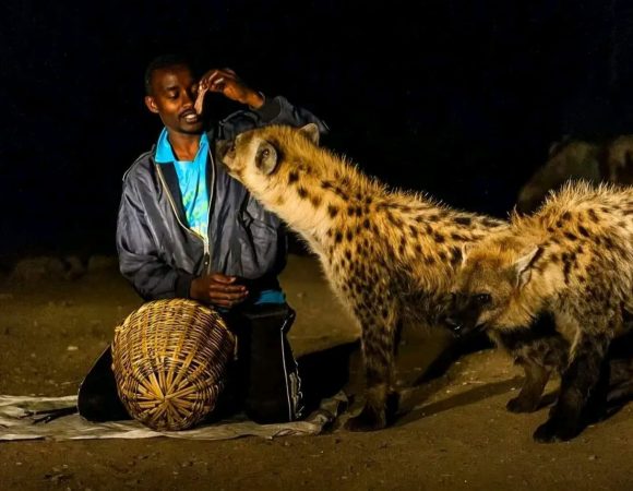 Harar Jugol Walled City & Eastern Heritage 3 Days
