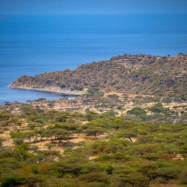 A Rift Valley lake with acacia woodland on its shore