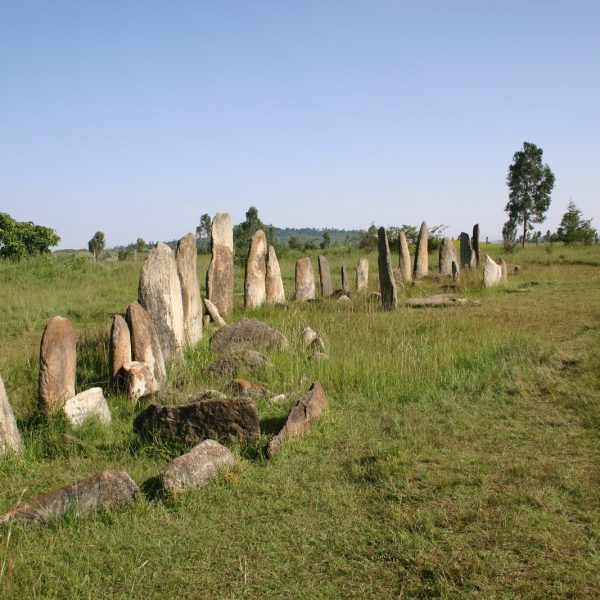 The Tiya stelae field under a clear sky